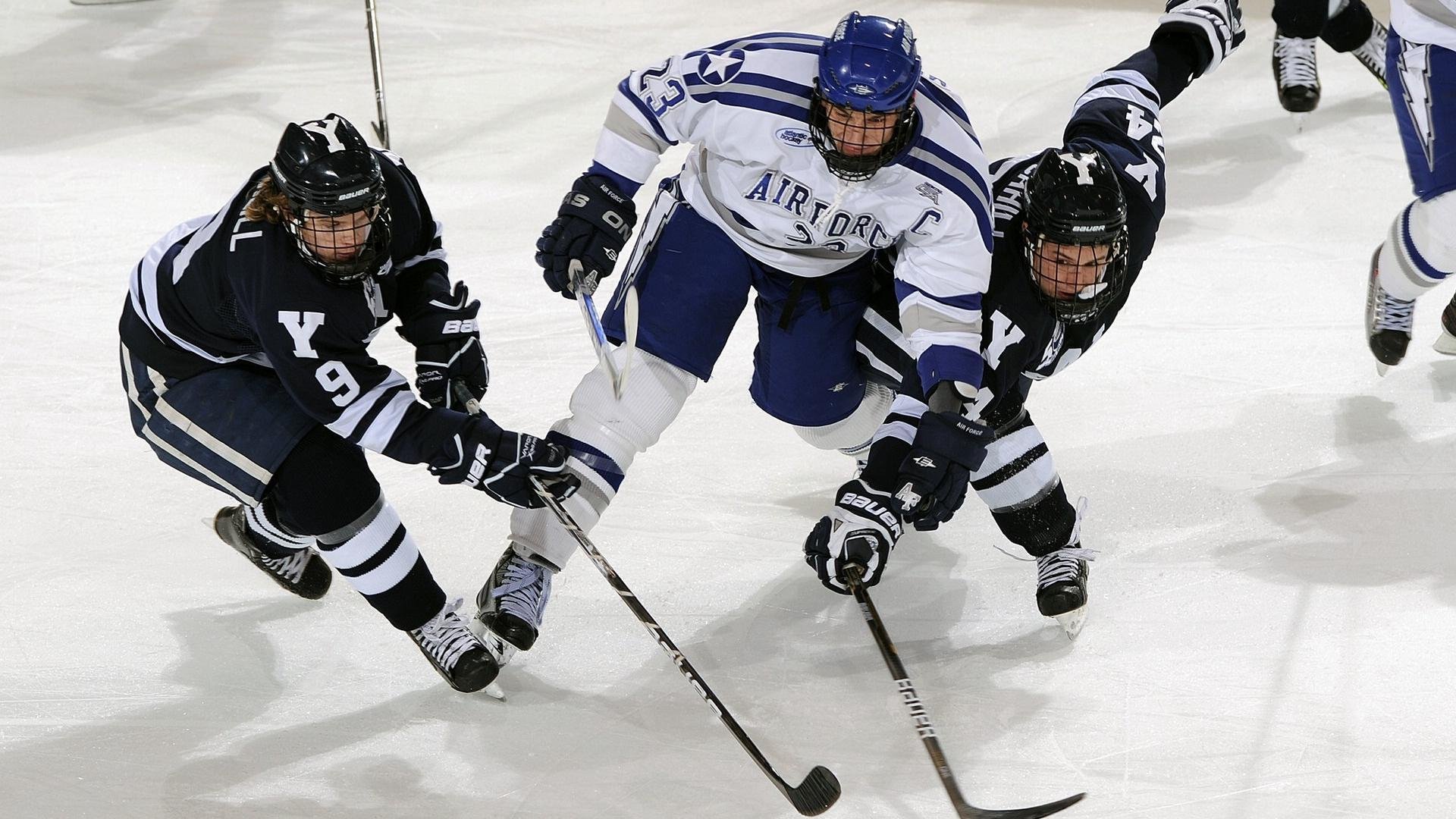 大型星空下的夜跑节,照亮心中的运动梦想,大型夜跑活动